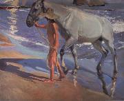 Joaquin Sorolla Y Bastida The bathing of the horse painting